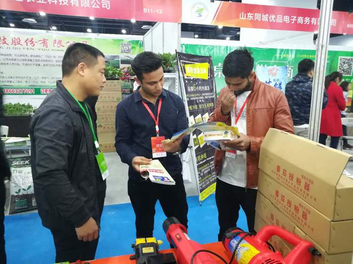 巴基斯坦客戶訂購千盛番茄授粉器